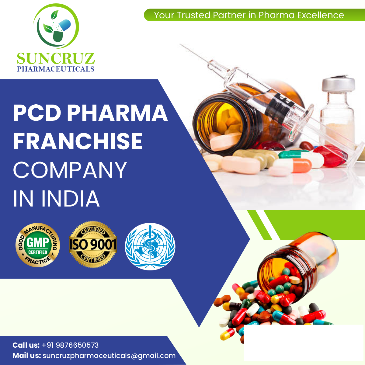 PCD Pharma Franchise